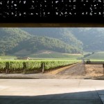 View of the vineyards and the house from the winery