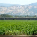 View of Winery from the home