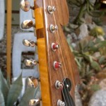 Headstock Headstock